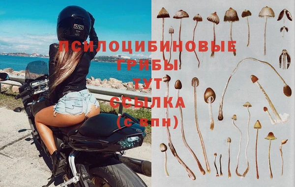 apvp Заволжск