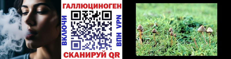Купить где  Юрьевец  Галлюциногенные грибы ЛСД 